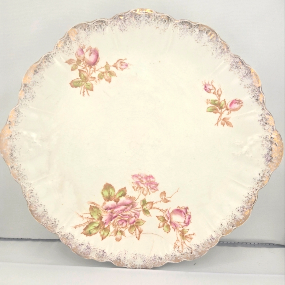 Dresden Antiquie Dining China Semi Porcelain with Floral Accents